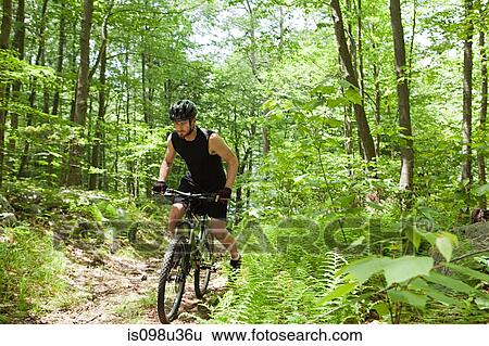 Male cyclist in forest View Large Photo Image Stock Photograph - Male cyclist in forest. Fotosearch