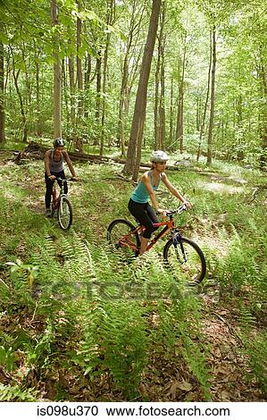 Two female cyclists in forest View Large Photo Image Stock Image - Two female cyclists in forest. Fotosearch