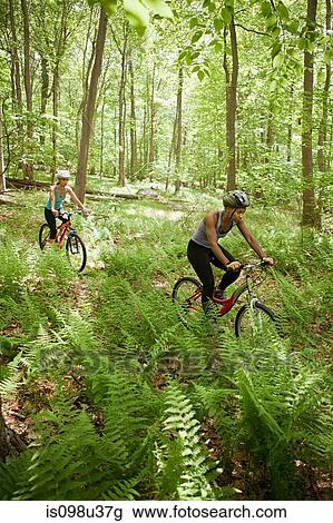 Two female cyclists in forest View Large Photo Image Stock Image - Two female cyclists in forest. Fotosearch