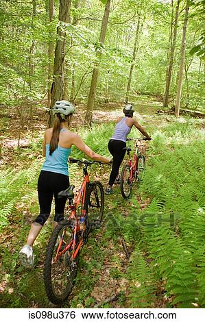 Two female cyclists in forest View Large Photo Image Stock Photograph - Two female cyclists in forest. Fotosearch