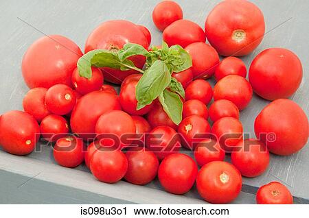 Stock Image - Cherry tomatoes. Fotosearch