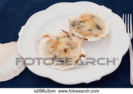 Coquilles st jacques View Large Photo Image Picture - Coquilles st jacques. Fotosearch
