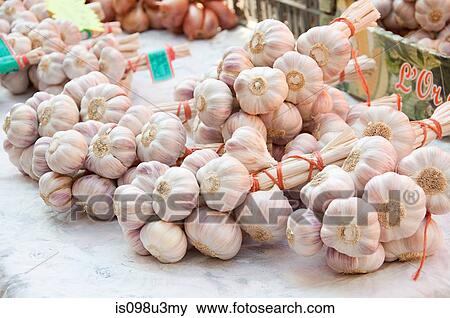 Garlic View Large Photo Image Stock Photo - Garlic. Fotosearch