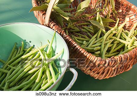 Green beans View Large Photo Image Stock Photo - Green beans. Fotosearch