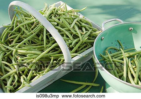 Stock Photography - Green beans. Fotosearch