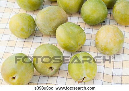 Greengage plums View Large Photo Image Stock Image - Greengage plums. Fotosearch