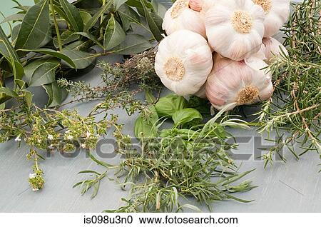 Herbs and garlic View Large Photo Image Stock Image - Herbs and garlic. Fotosearch