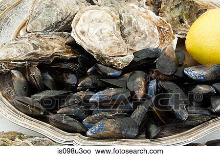 Picture - Mussels and oysters. Fotosearch