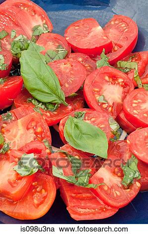 Tomatoes and basil View Large Photo Image Stock Image - Tomatoes and basil. Fotosearch