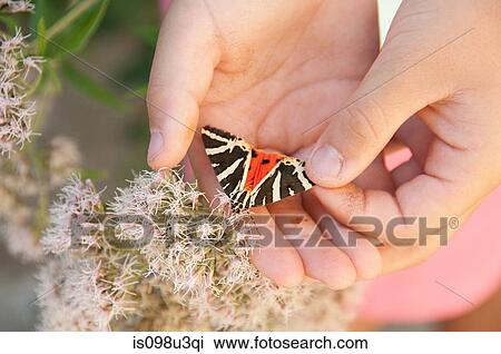 Stock Image - Girl holding butterfly, close up. Fotosearch