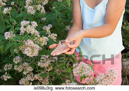 Stock Image - Girl holding butterfly. Fotosearch