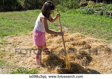Girl raking grass View Large Photo Image Stock Photography - Girl raking grass. Fotosearch