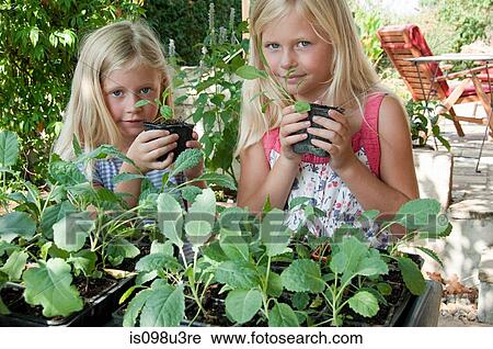 Girls gardening in vegetable garden View Large Photo Image Stock Image - Girls gardening in vegetable garden. Fotosearch
