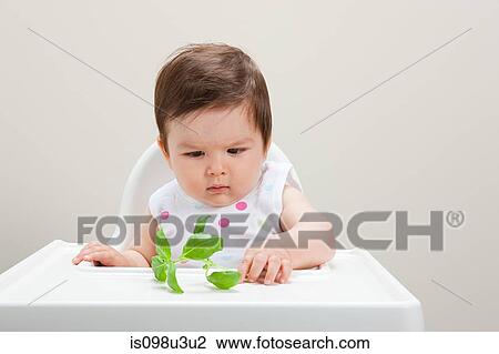 Baby boy looking at basil leaf View Large Photo Image Stock Image - Baby boy looking at basil leaf. Fotosearch