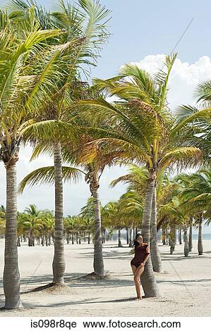 Young woman on beach by palm tree View Large Photo Image Stock Image - Young woman on beach by palm tree. Fotosearch