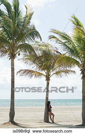 Young woman on beach by palm tree View Large Photo Image Stock Image - Young woman on beach by palm tree. Fotosearch