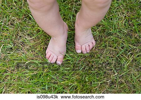 Baby legs and feet on grass View Large Photo Image Stock Image - Baby legs and feet on grass. Fotosearch