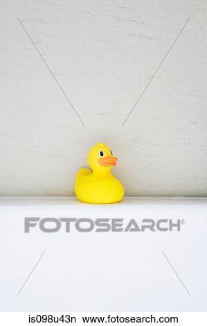 Rubber duck View Large Photo Image Picture - Rubber duck. Fotosearch