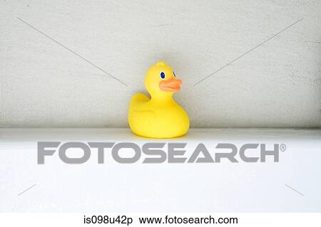 Rubber duck View Large Photo Image Stock Photography - Rubber duck. Fotosearch