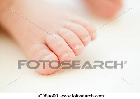 Close up of baby toes View Large Photo Image Stock Image - Close up of baby toes. Fotosearch