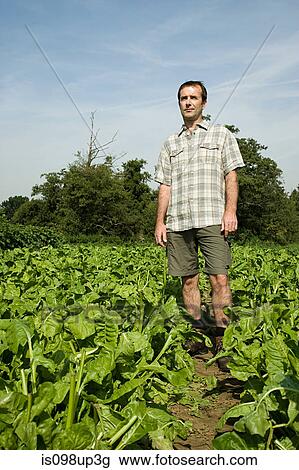 Farmer standing in field View Large Photo Image Stock Image - Farmer standing in field. Fotosearch
