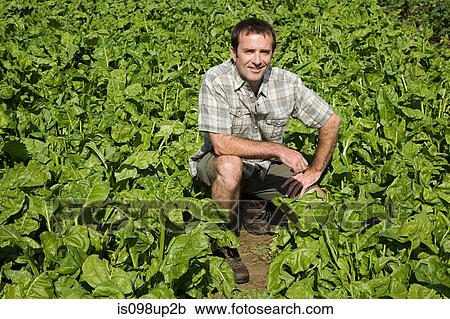 Man crouching in field View Large Photo Image Stock Image - Man crouching in field. Fotosearch