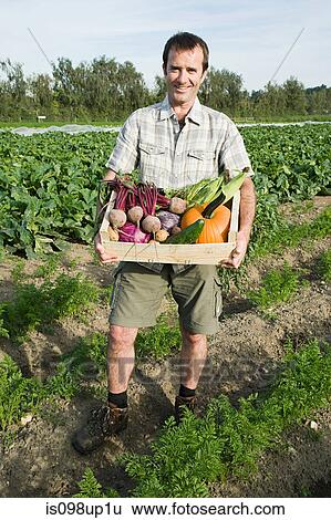 Man holding wooden create of freshly farmed vegetables View Large Photo Image Stock Photograph - Man holding wooden create of freshly farmed vegetables. Fotosearch