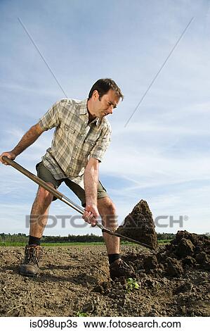 Mid adult man digging in field View Large Photo Image Stock Photograph - Mid adult man digging in field. Fotosearch