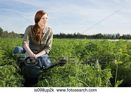 Woman watering crop in field with watering can View Large Photo Image Stock Image - Woman watering crop in field with watering can. Fotosearch