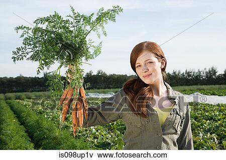 Young woman holding bunch of carrots in field View Large Photo Image Stock Photo - Young woman holding bunch of carrots in field. Fotosearch