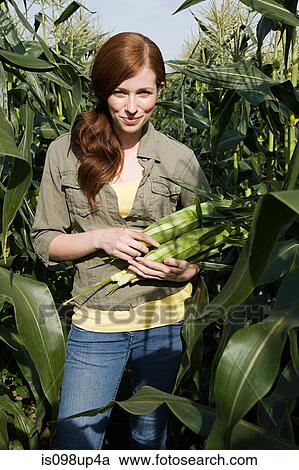 Young woman holding corn cob View Large Photo Image Stock Image - Young woman holding corn cob. Fotosearch