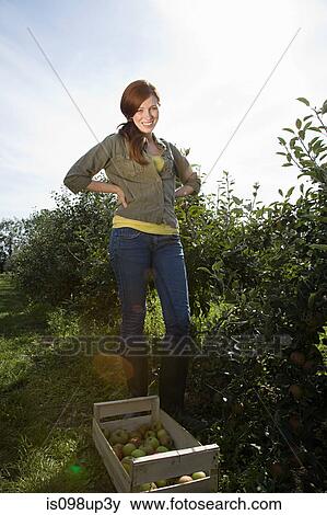 Stock Photo - Young woman standing in apple orchard. Fotosearch