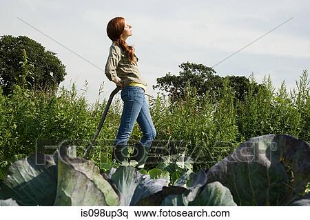 Young woman standing in cabbage field View Large Photo Image Stock Photography - Young woman standing in cabbage field. Fotosearch