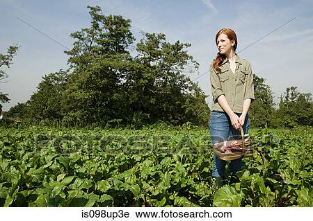 Young woman with fresh beetroot in basket View Large Photo Image Stock Image - Young woman with fresh beetroot in basket. Fotosearch