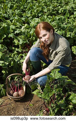 Stock Photography - Young woman with fresh beetroot in basket. Fotosearch