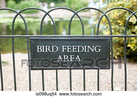 Bird feeding area, St James's Park, London View Large Photo Image Picture - Bird feeding area, St James's Park, London. Fotosearch