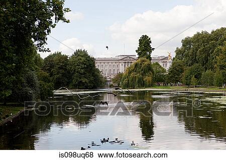 Stock Photo - Lake at St James's Park and Buckingham Palace, London. Fotosearch