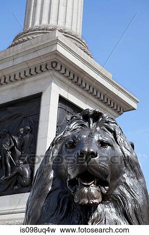 Lion statue and Nelson's column, London View Large Photo Image Stock Photo - Lion statue and Nelson's column, London. Fotosearch