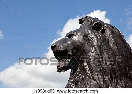 Lion statue at Nelson's column, London View Large Photo Image Stock Image - Lion statue at Nelson's column, London. Fotosearch