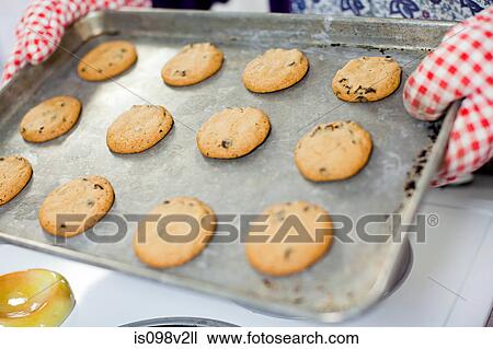 Person holding tray of cookies View Large Photo Image Stock Image - Person holding tray of cookies. Fotosearch