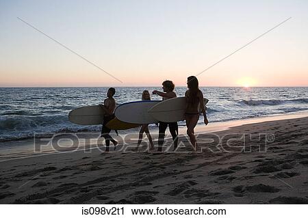 Surfers walking along the beach at sunset View Large Photo Image Stock Image - Surfers walking along the beach at sunset. Fotosearch