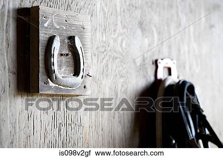 Horse's reigns and stable View Large Photo Image Stock Image - Horse's reigns and stable. Fotosearch