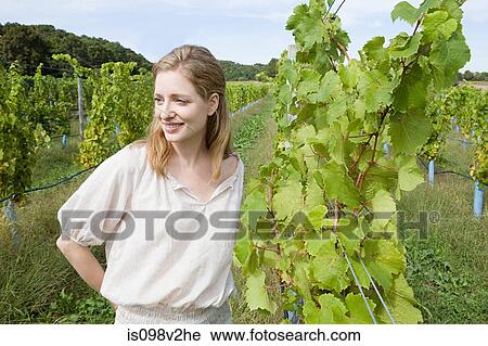 Mid adult woman in vineyard with vines View Large Photo Image Stock Image - Mid adult woman in vineyard with vines. Fotosearch