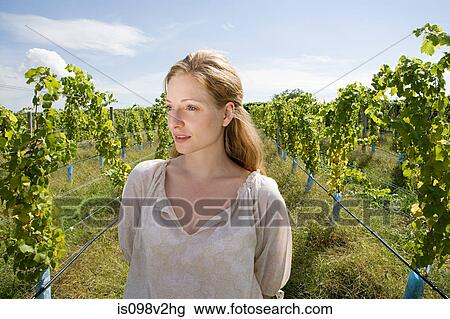 Stock Image - Mid adult woman in vineyard with vines. Fotosearch