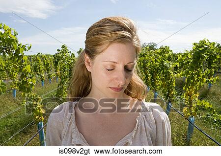 Mid adult woman in vineyard with vines View Large Photo Image Stock Photograph - Mid adult woman in vineyard with vines. Fotosearch