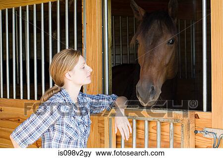 Mid adult woman with horse in stable View Large Photo Image Stock Photo - Mid adult woman with horse in stable. Fotosearch