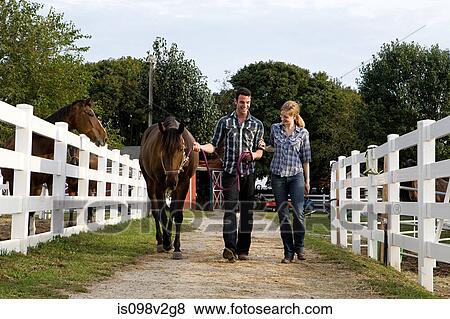 Two people with horse in paddock View Large Photo Image Stock Photo - Two people with horse in paddock. Fotosearch