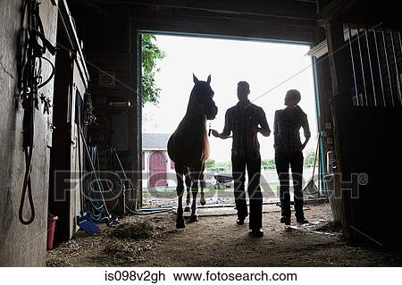 Two people with horse in stable View Large Photo Image Stock Image - Two people with horse in stable. Fotosearch