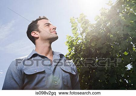 Stock Photography - Young man in vineyard, low angle. Fotosearch