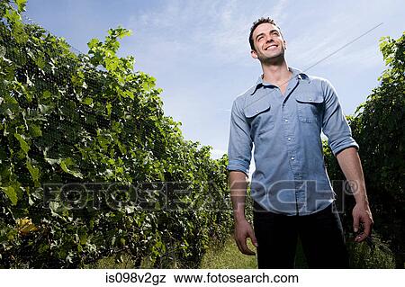 Young man in vineyard View Large Photo Image Stock Photo - Young man in vineyard. Fotosearch